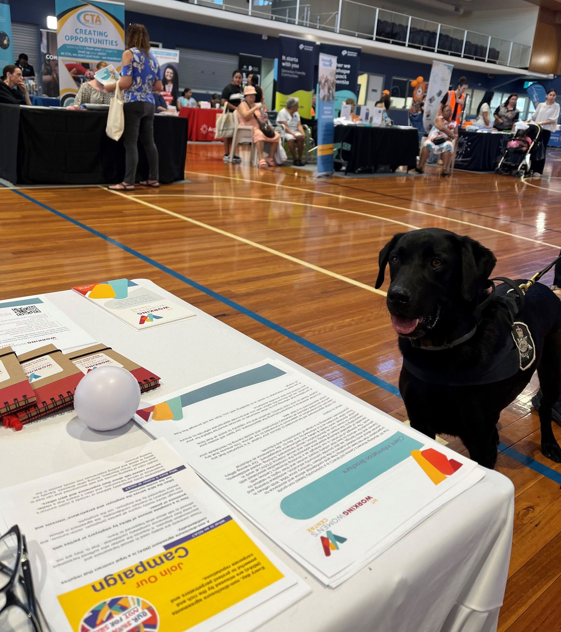 Someones got their eye on the ball at the Darwin Community Expo Greater Darwin Region 30.5.25