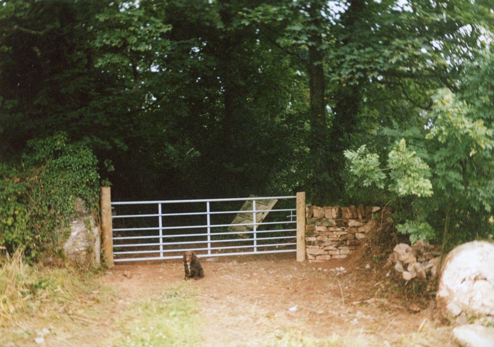 installed gate