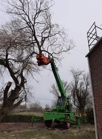 TREE CARE SERVICES
