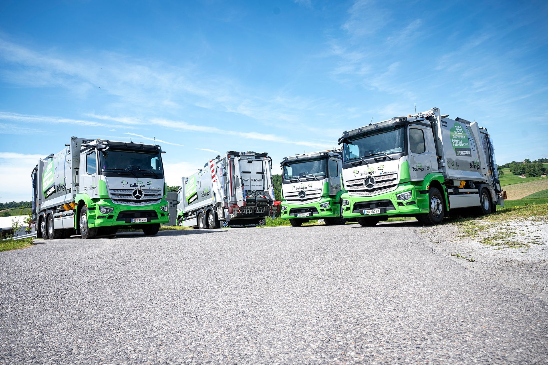 Green wheat stalks in a field, blurred background, bright sunlight.