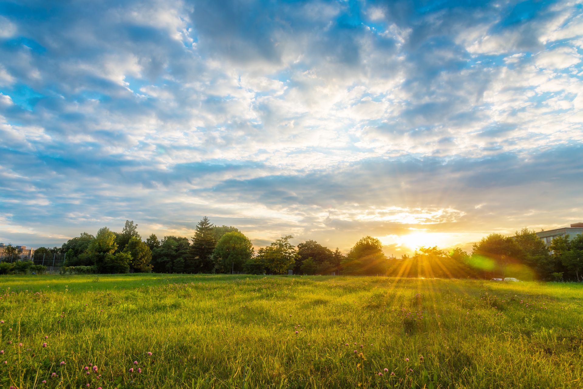 grassy field with wildflowers under a partly cloudy sky. grassy field with wildflowers under a partly cloudy sky.