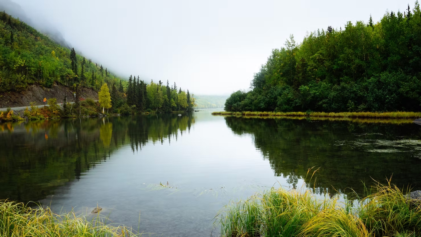 reflections lake green pine trees