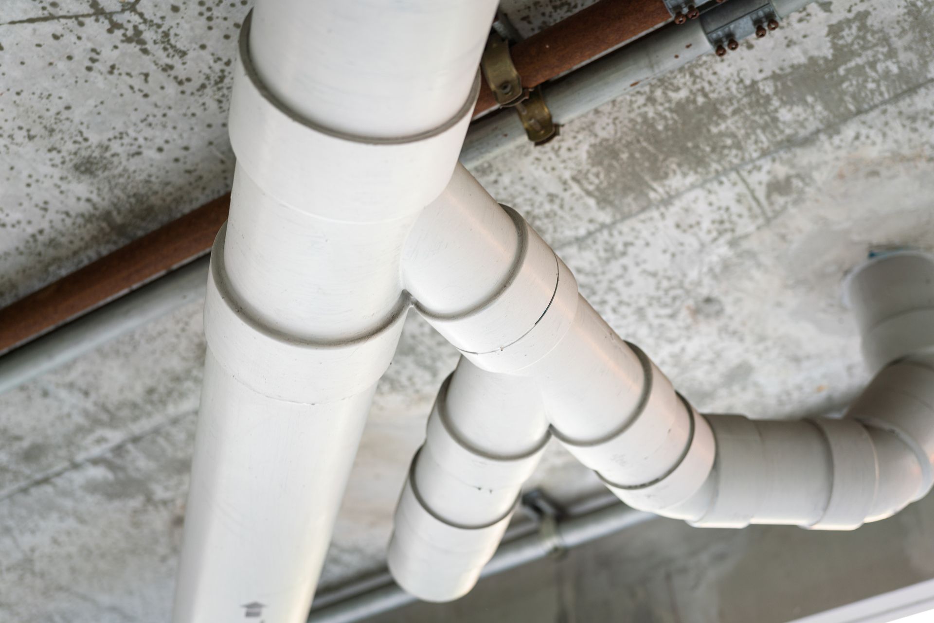 White PVC pipes connected to a ceiling, forming a plumbing system.