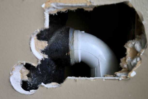Hole in wall reveals white plastic pipe elbow; damaged drywall with black insulation visible.