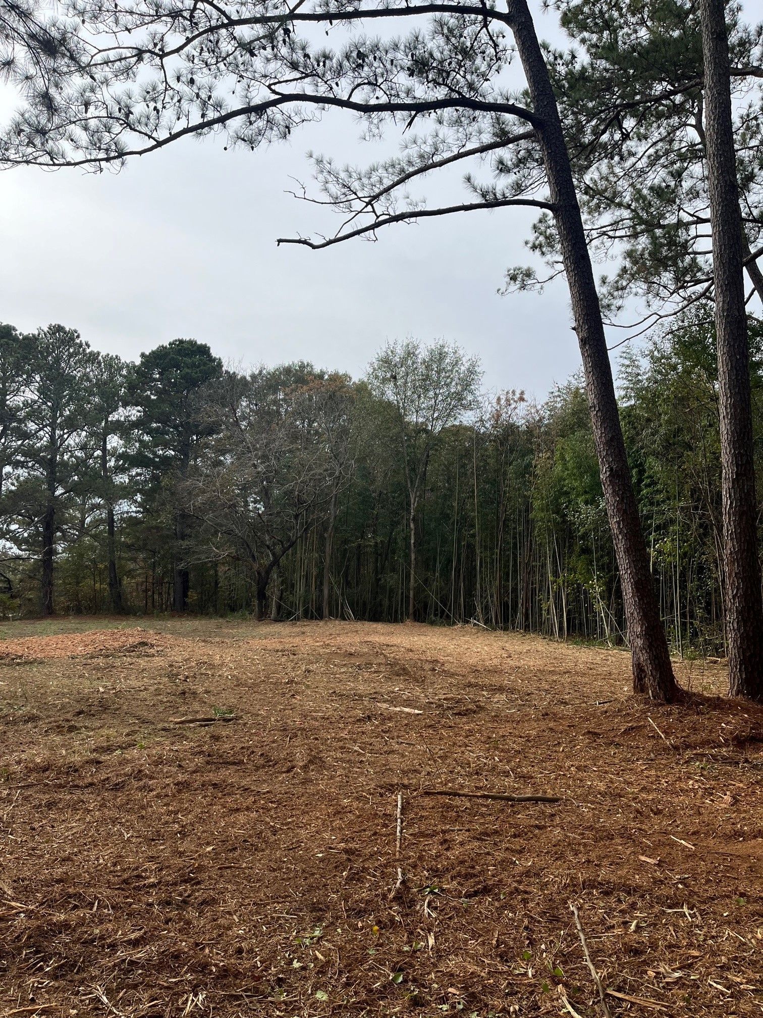 A field with trees in the background and a lot of dirt in the foreground.