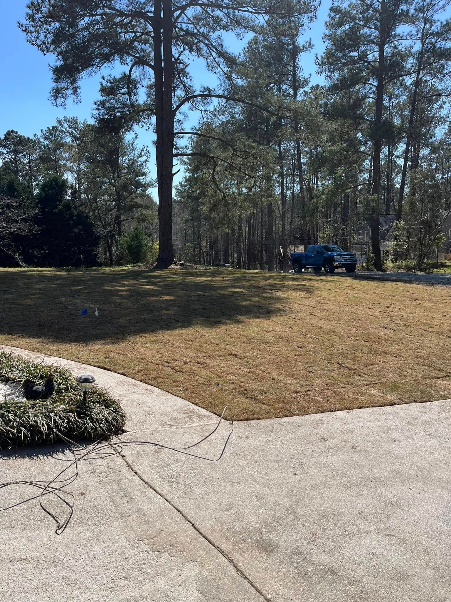 A blue truck is driving down a dirt road next to a lush green forest.