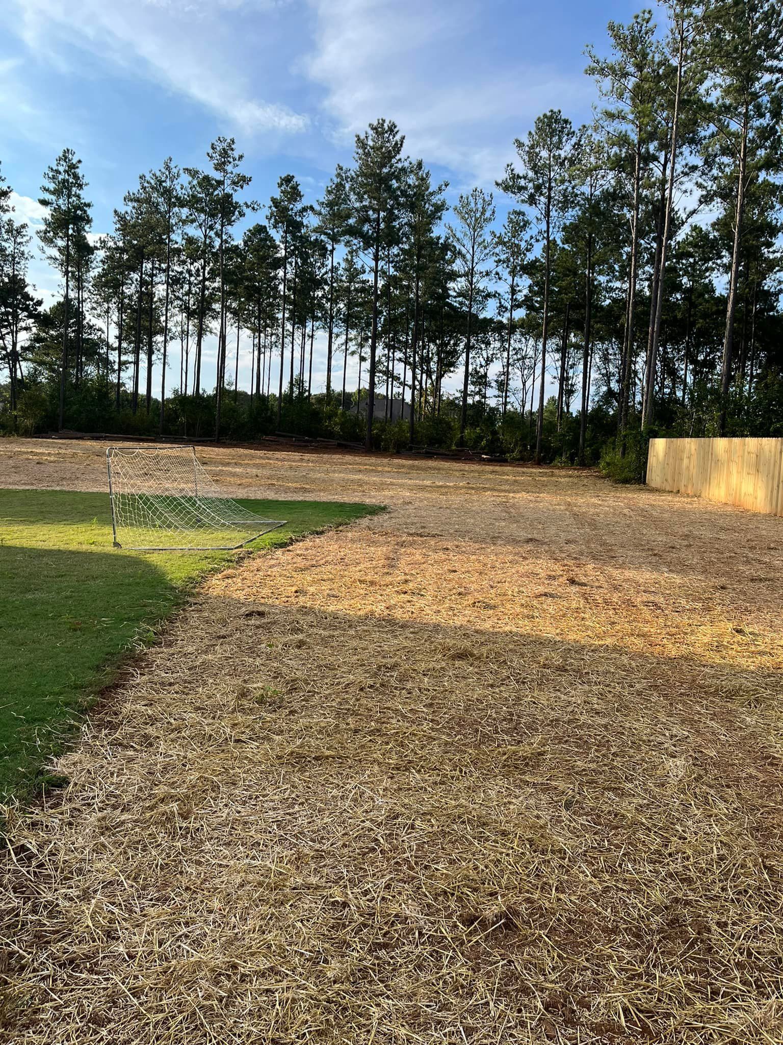 A dirt road leading to a field with trees in the background.
