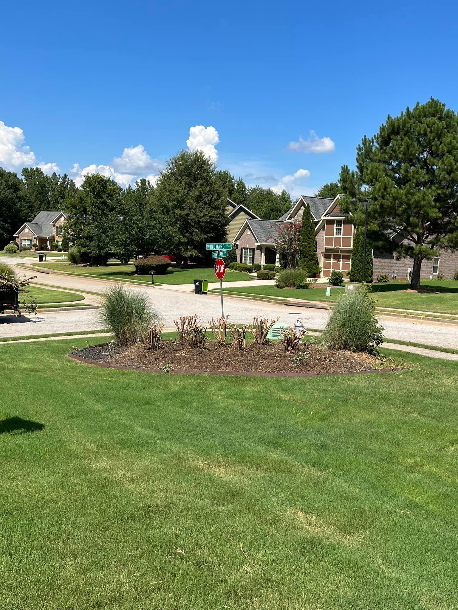 A lush green field in a residential area with houses in the background.