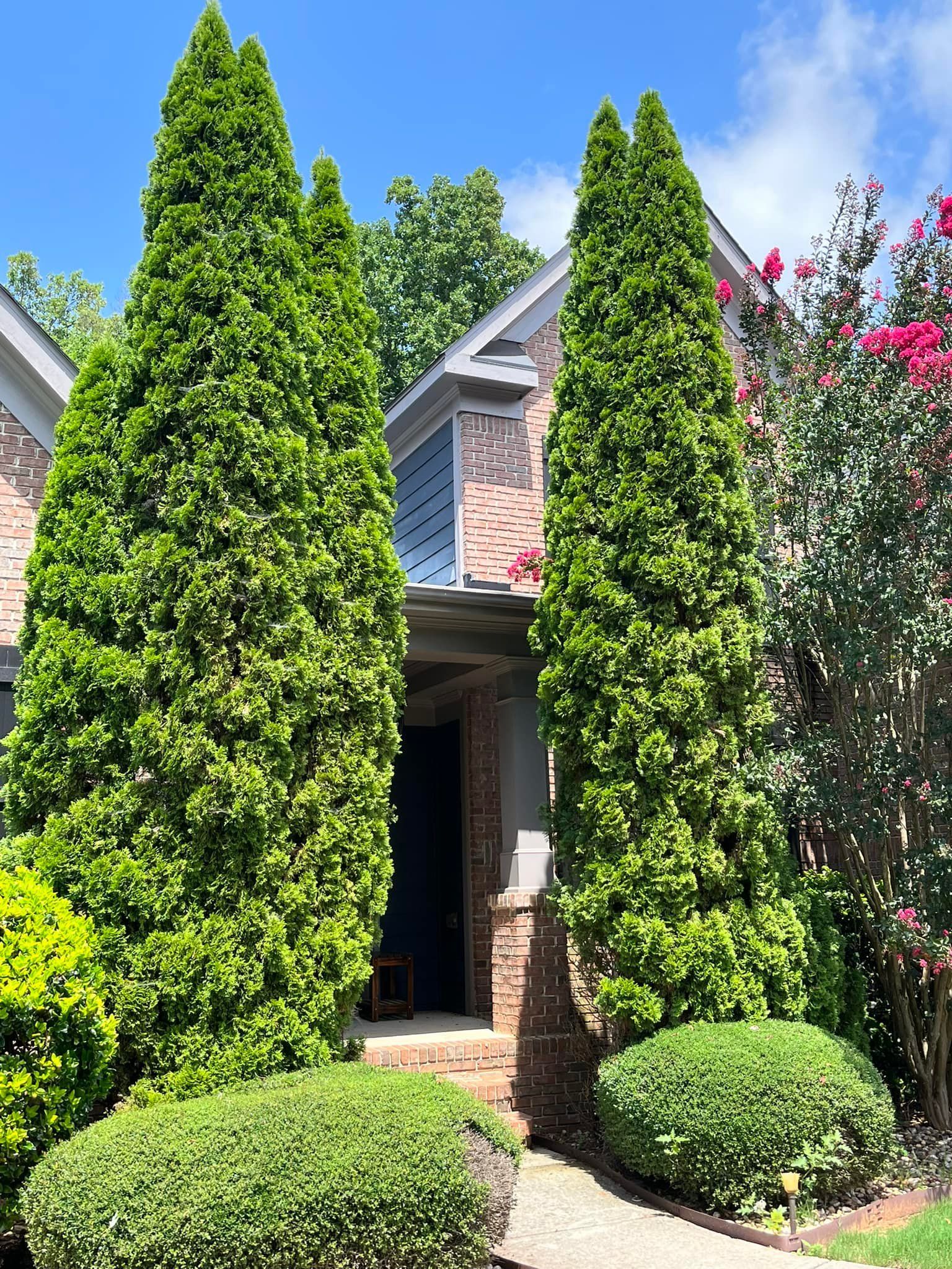 A house with a lot of trees in front of it.