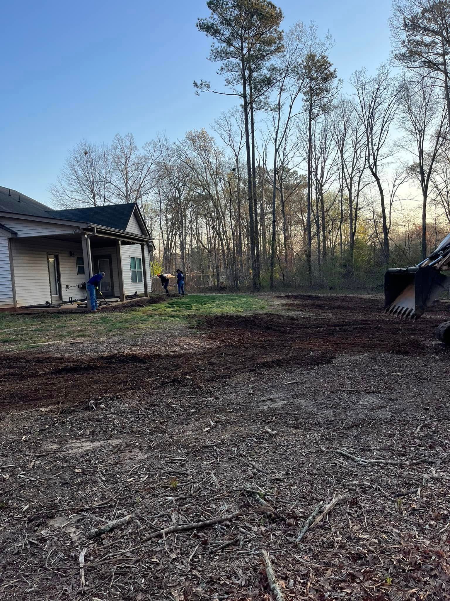 A house is being demolished in the middle of a forest.
