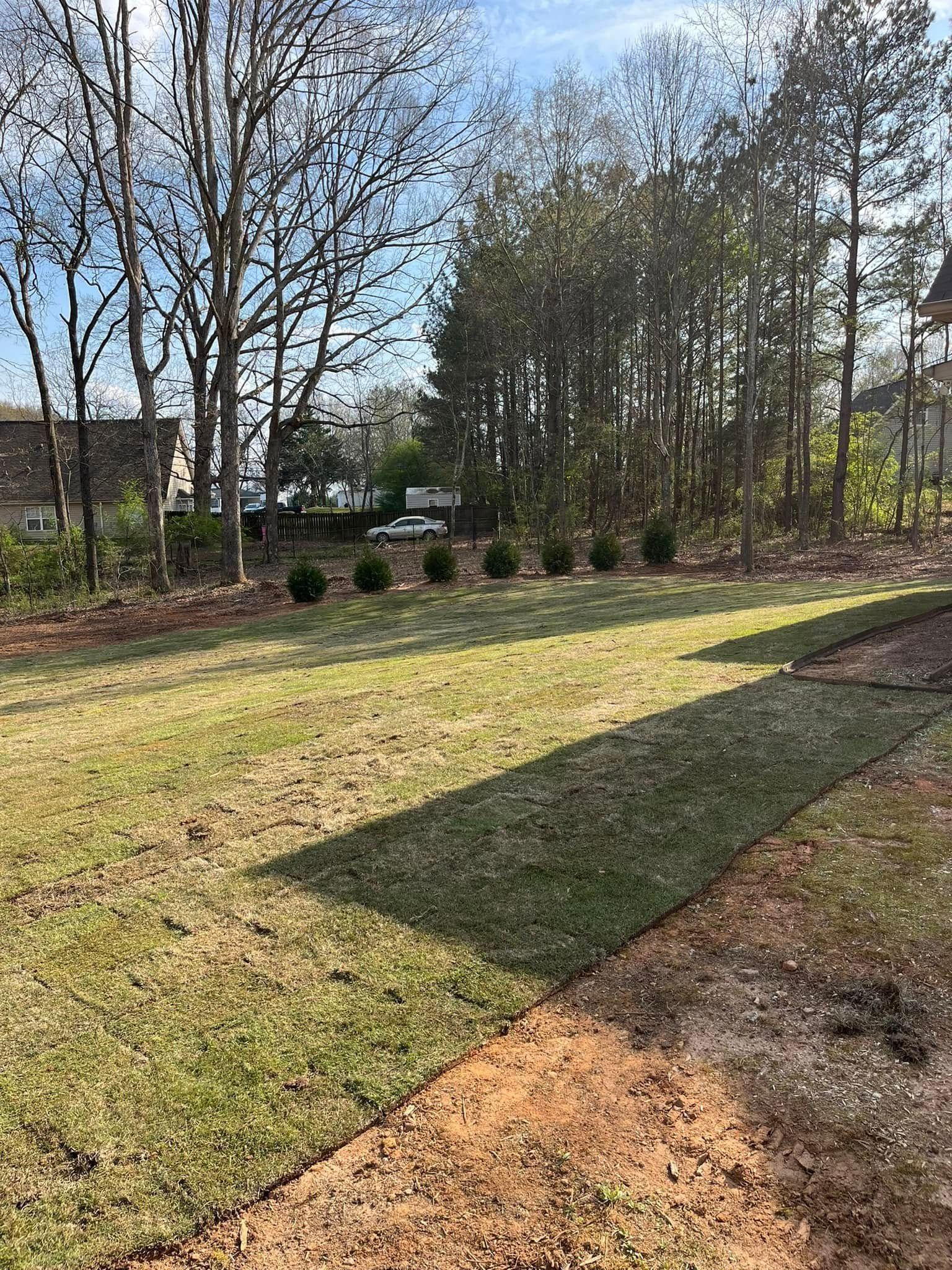 A lawn with a lot of grass and trees in the background.