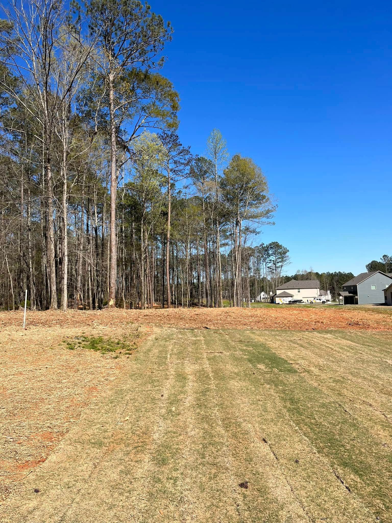 A field with trees in the background and a house in the background.