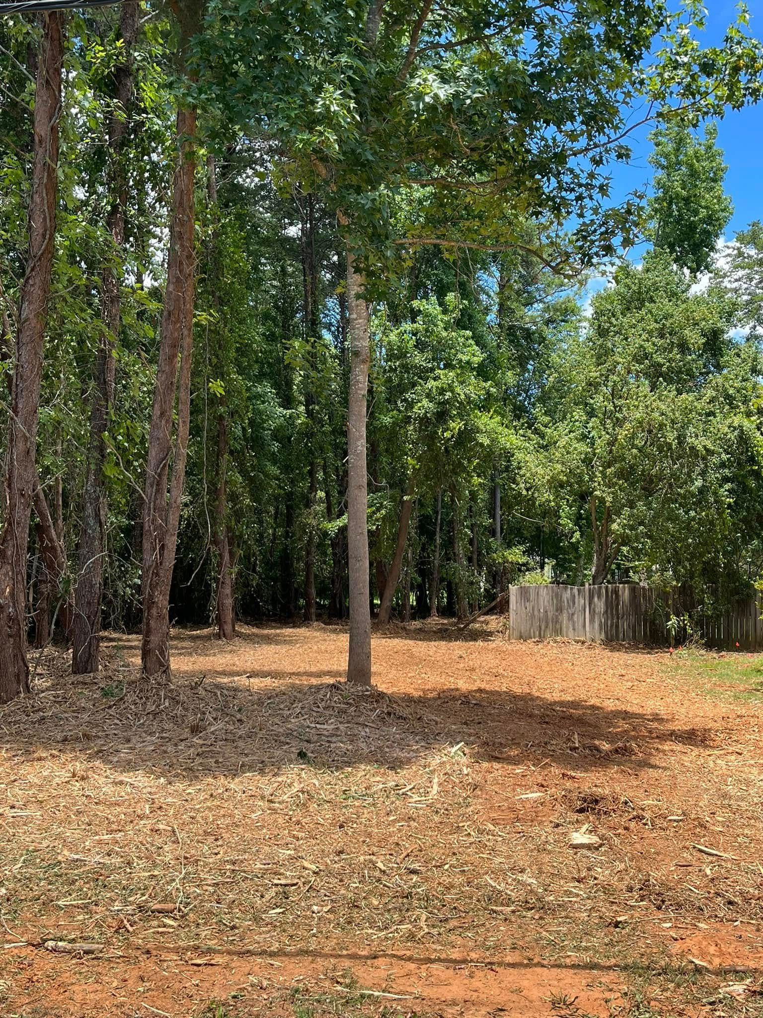 A dirt field surrounded by trees and a fence on a sunny day.