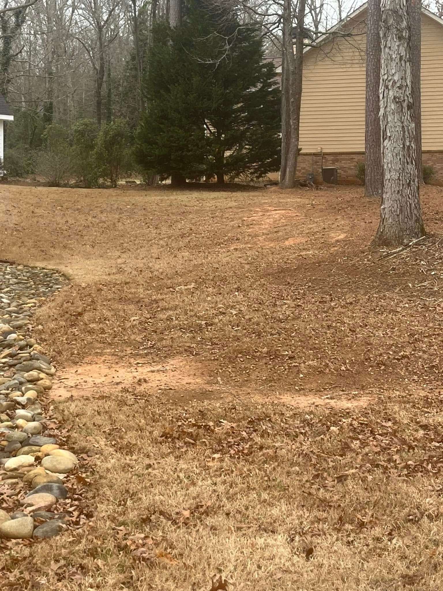 There is a house in the background and a lot of leaves on the ground.