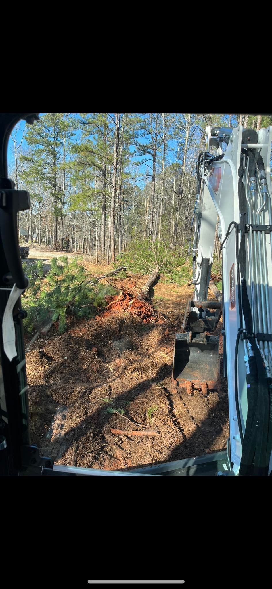 A person is driving a bulldozer through a forest.