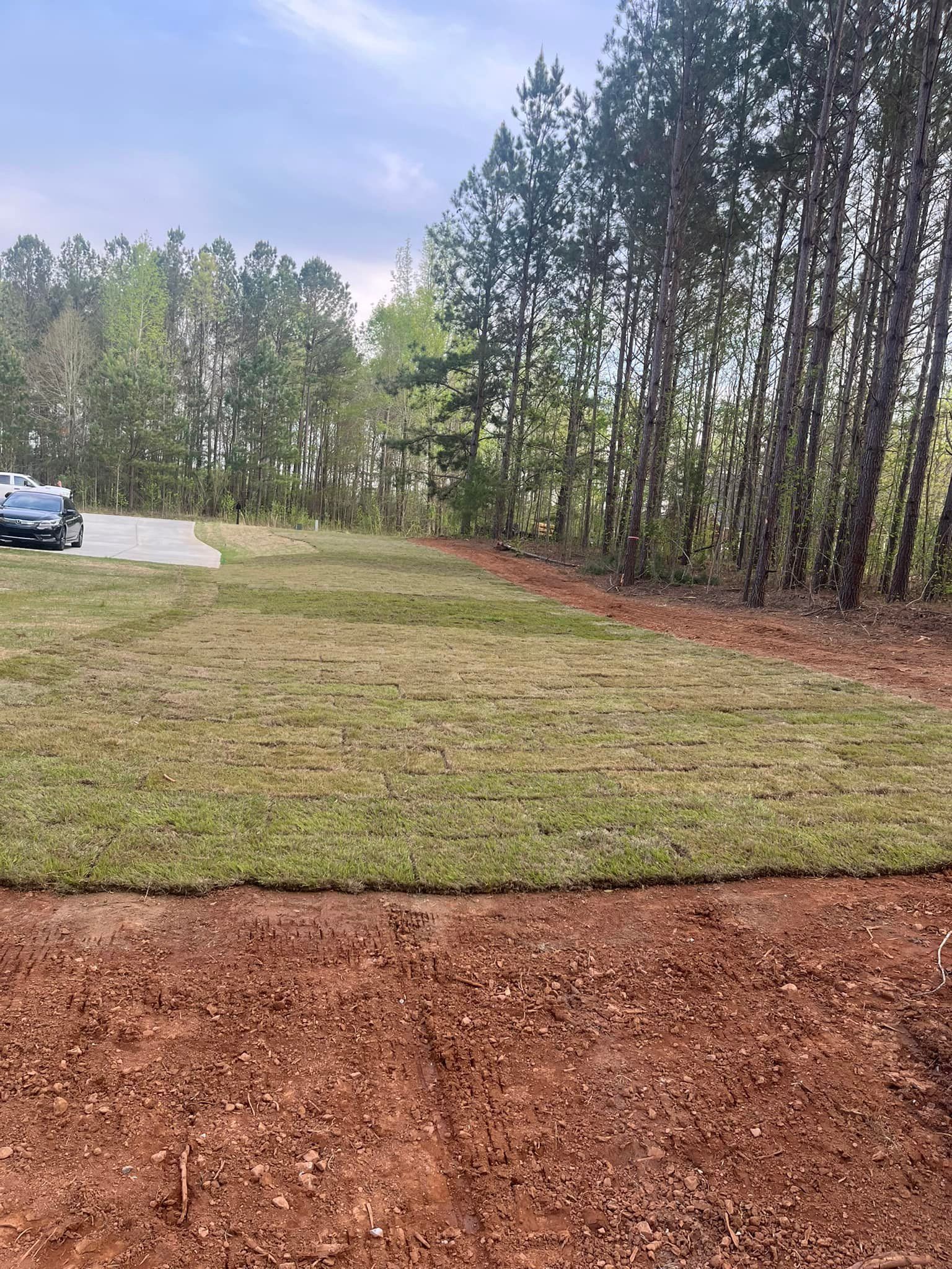 A car is parked in a grassy field with trees in the background.