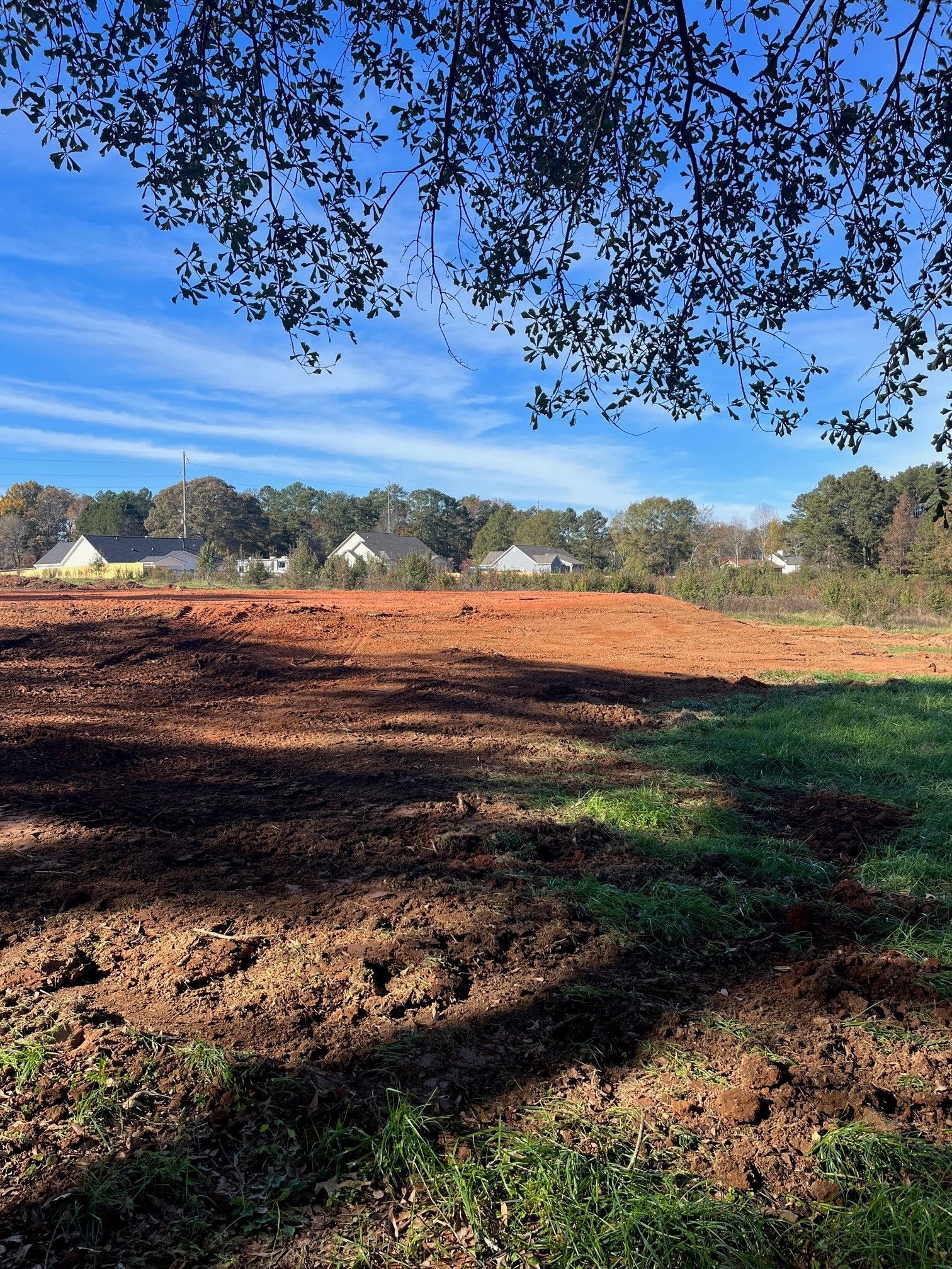 A large dirt field with a tree in the foreground and houses in the background.