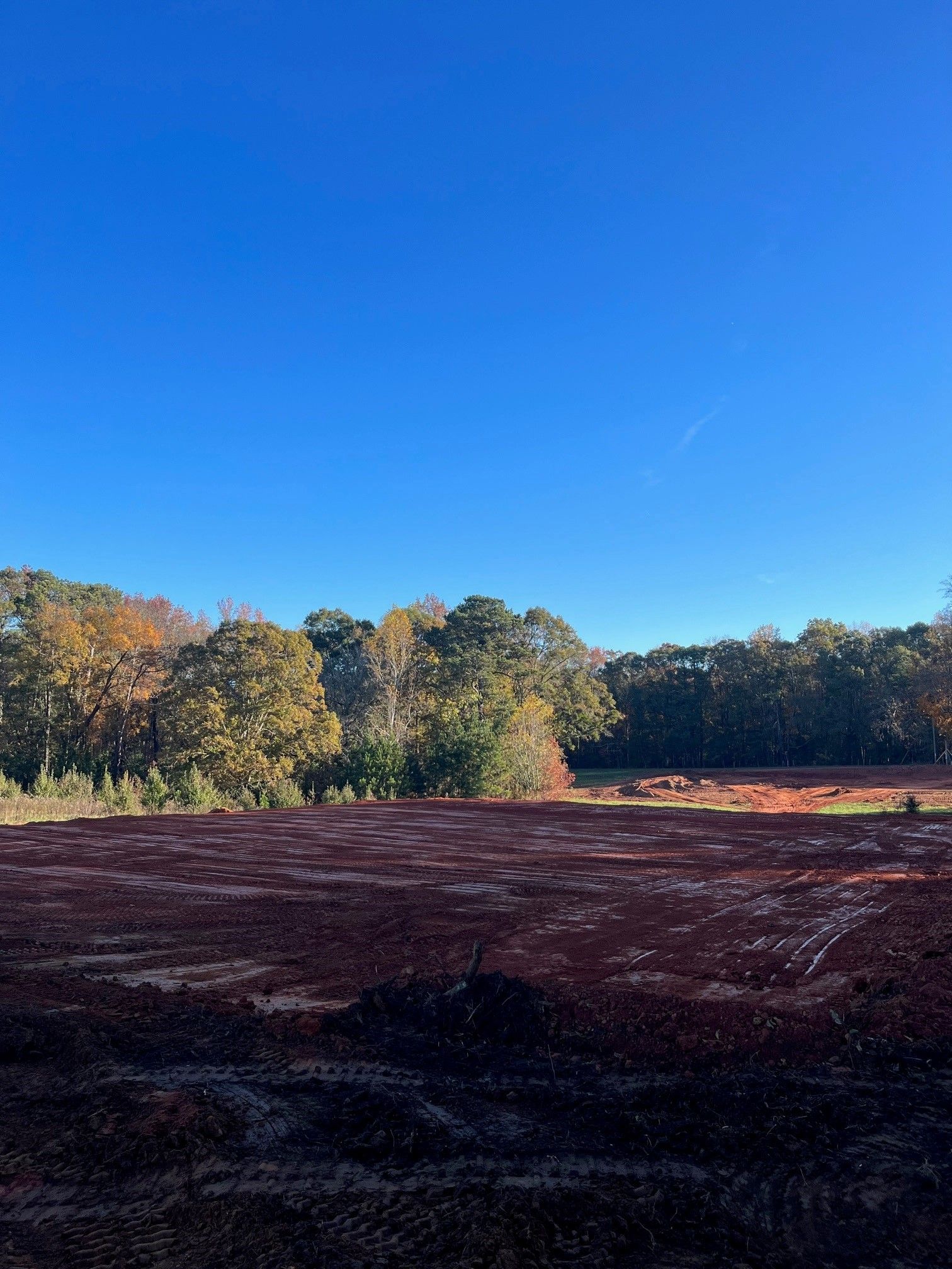 A field with trees in the background and a blue sky