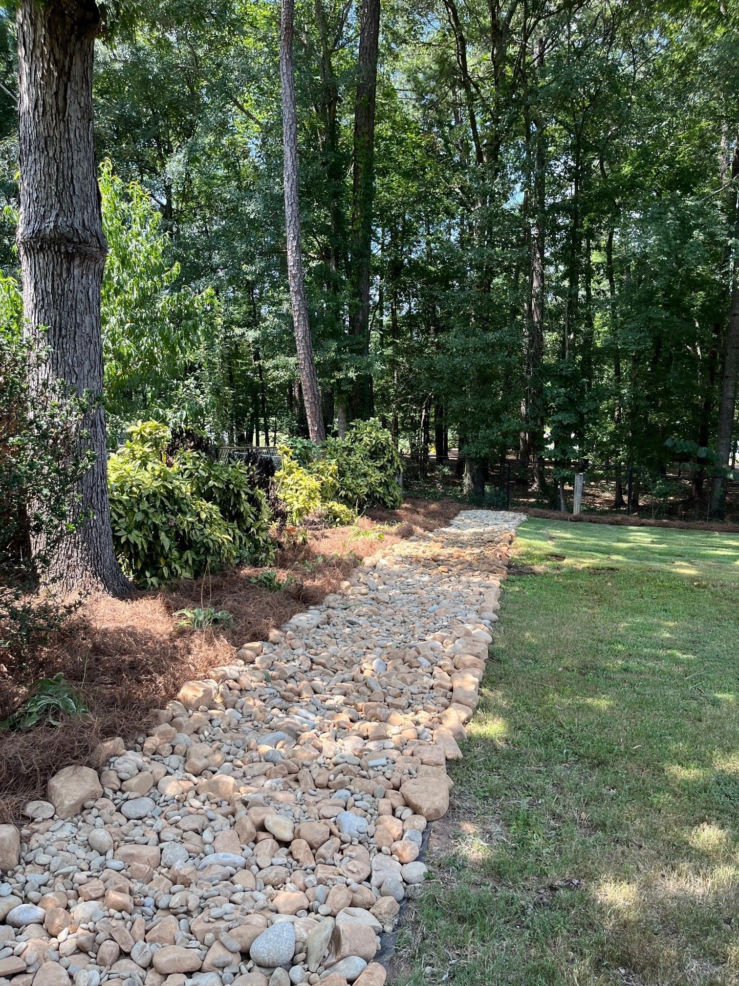A stone path leading through a lush green forest.