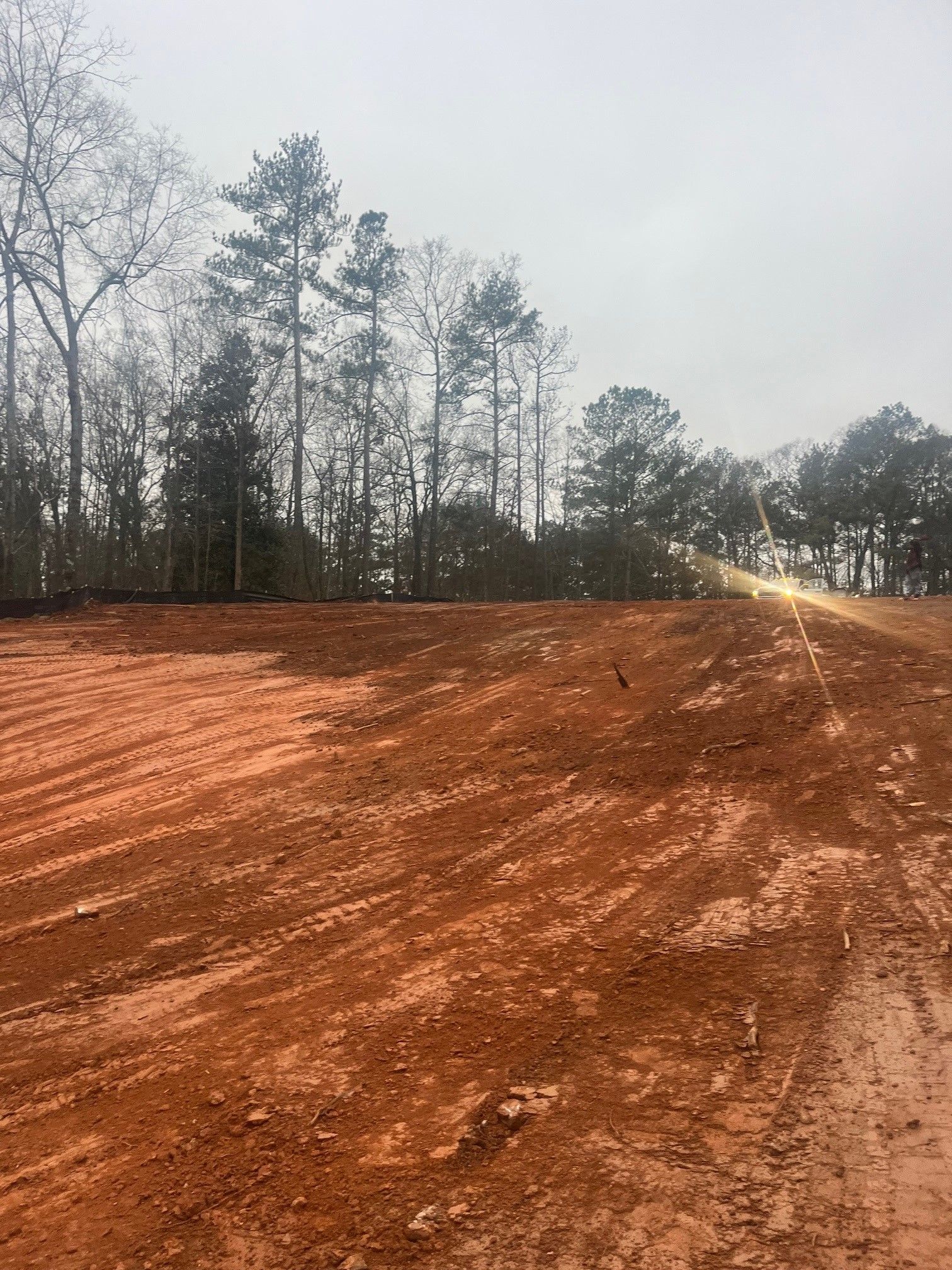 A dirt road going through a field with trees in the background.