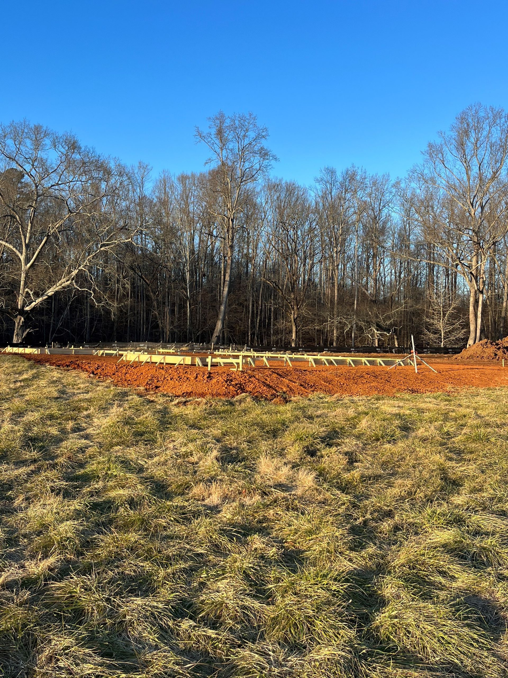 A field with trees in the background and a blue sky in the background.