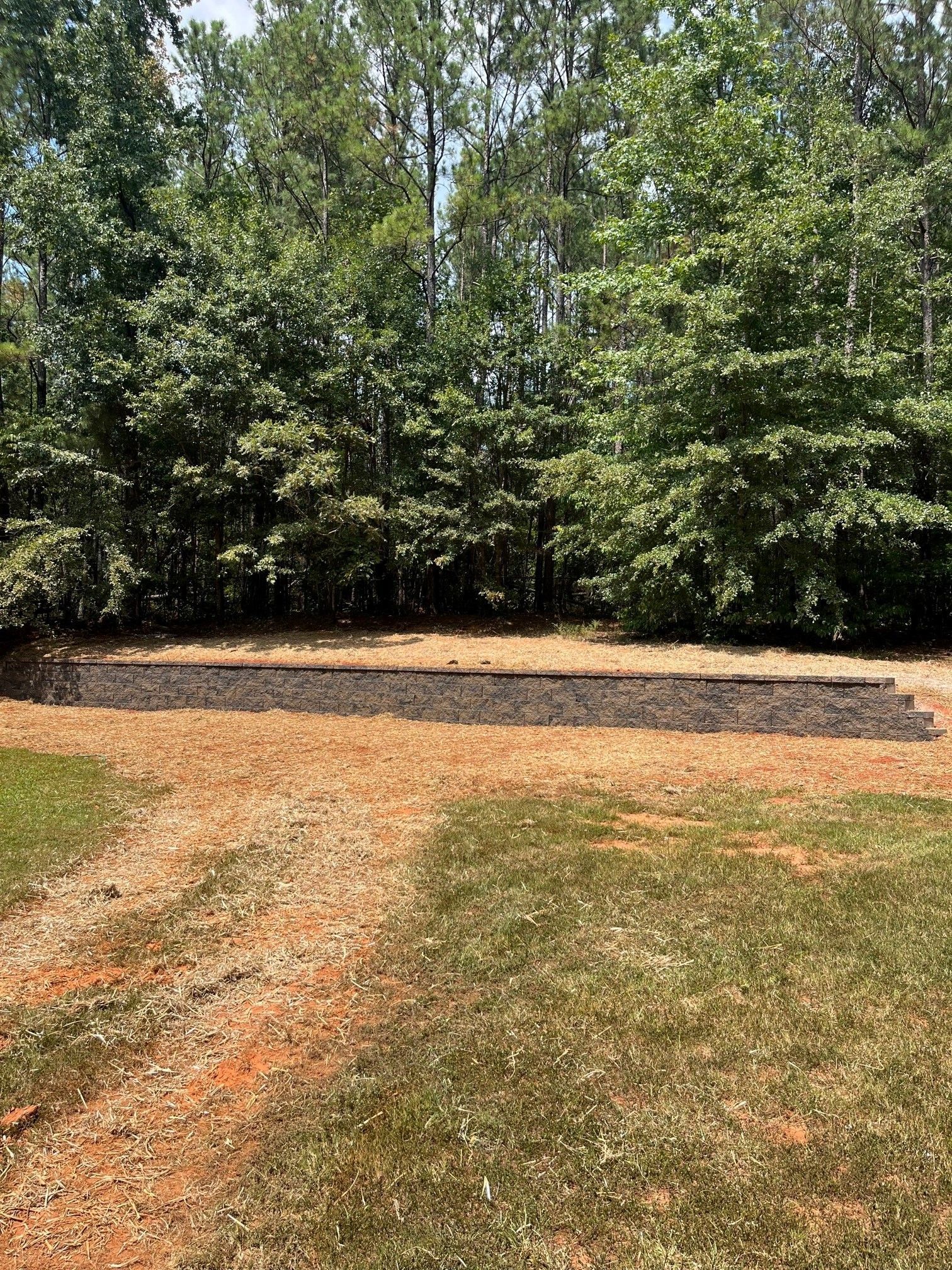 A dirt road going through a grassy field with trees in the background.