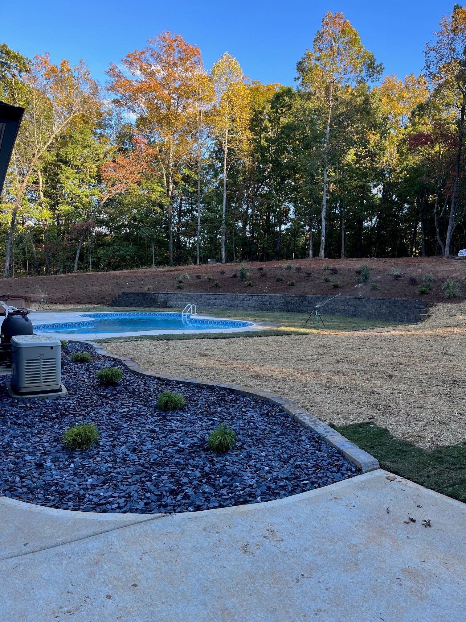 A backyard with a swimming pool and trees in the background.