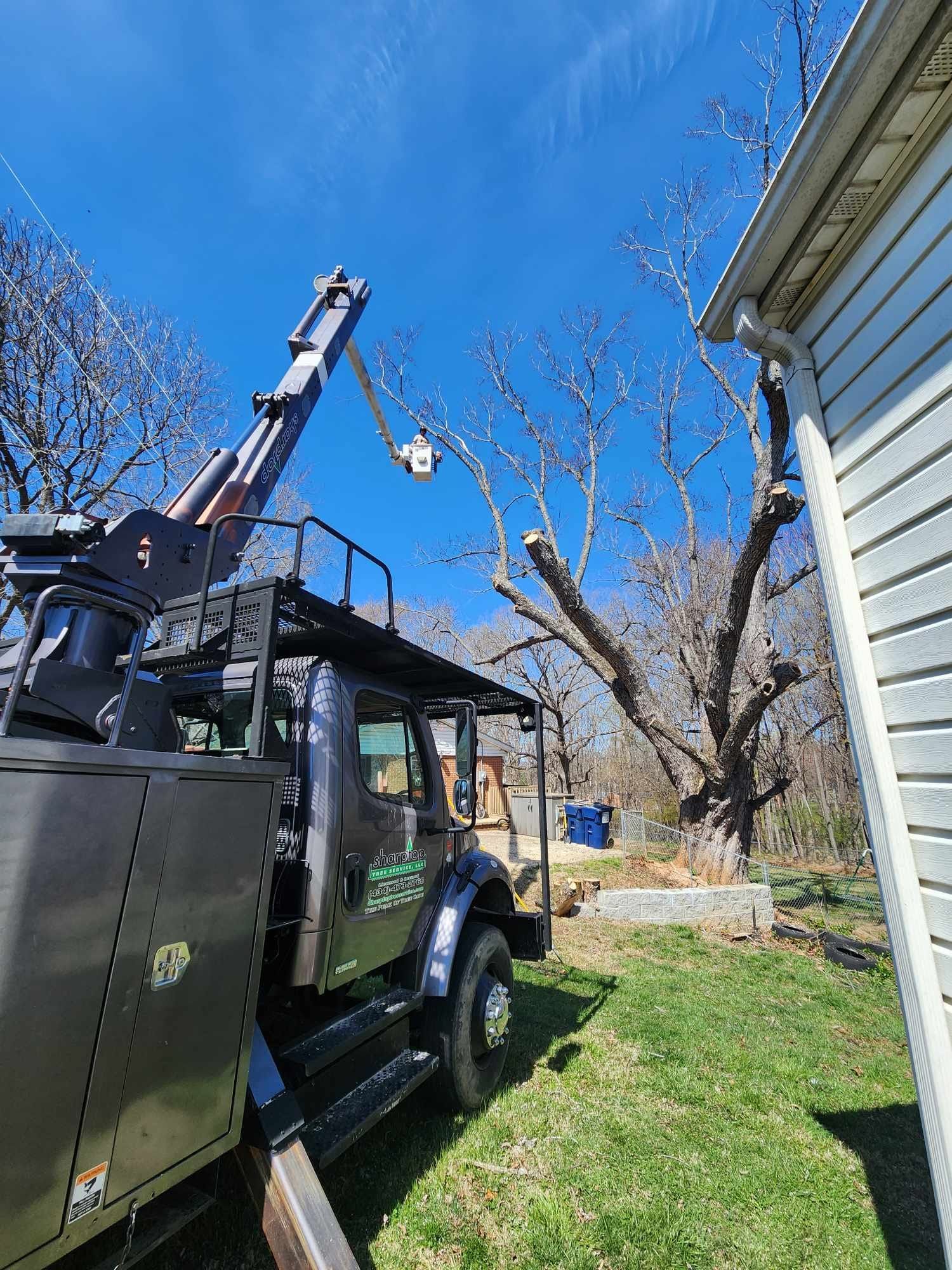 A truck with a crane attached to it is cutting a tree in front of a house. Tree service