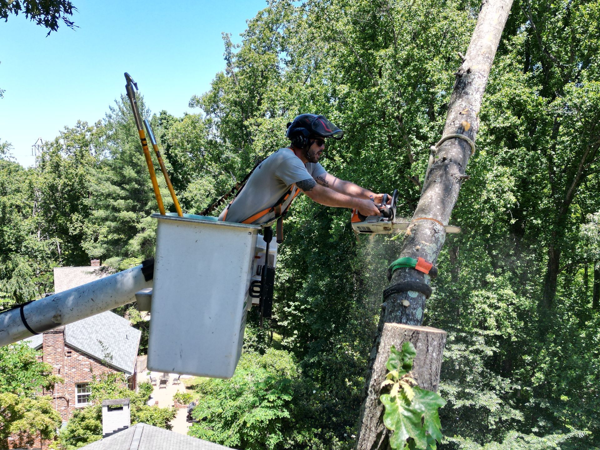 A man in a bucket is cutting a tree with a chainsaw.