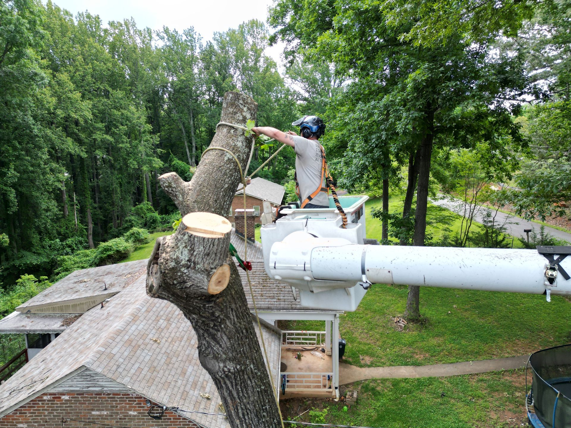 A man is standing on top of a crane cutting a tree.