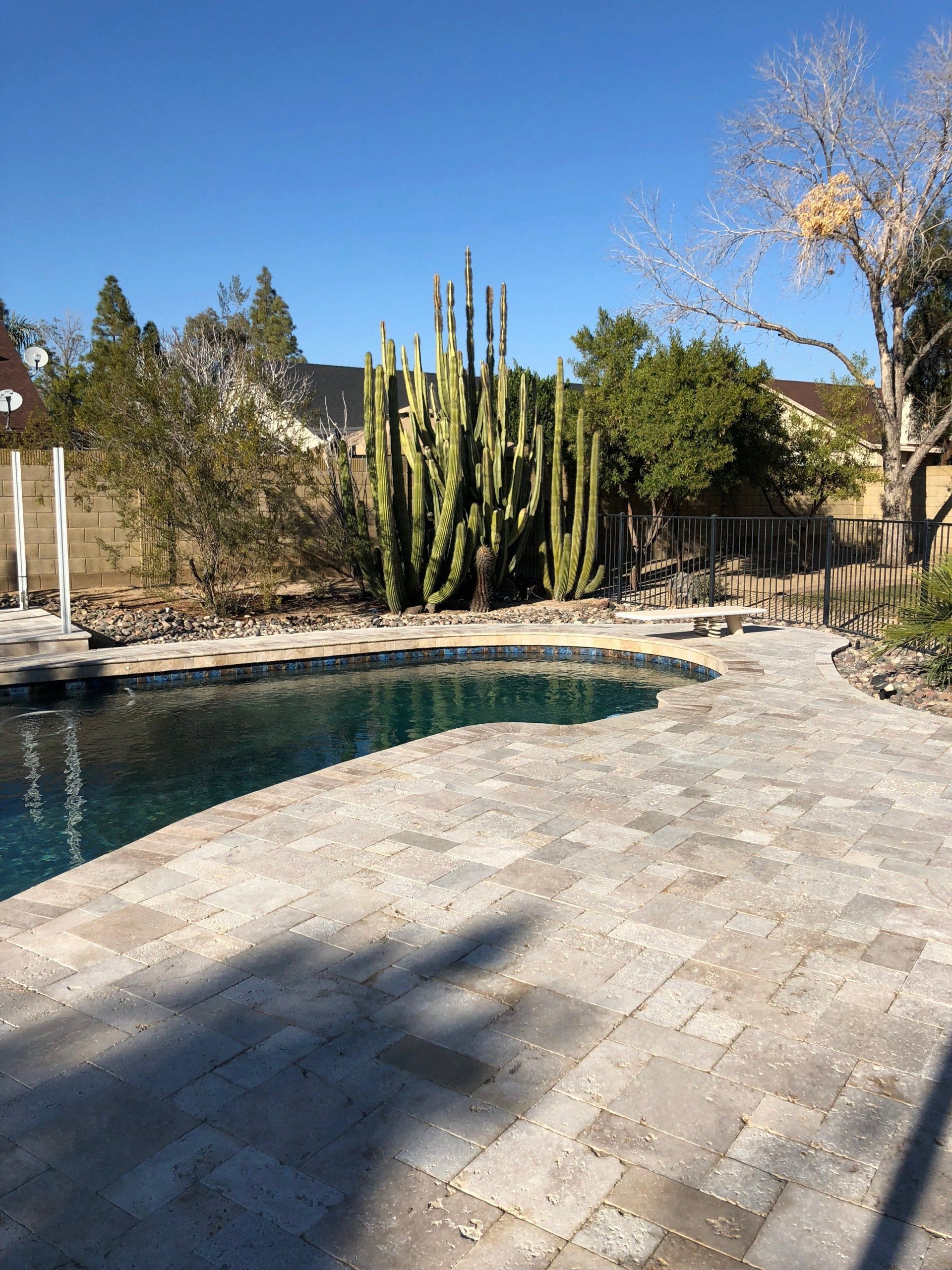 A large swimming pool surrounded by cactus and trees