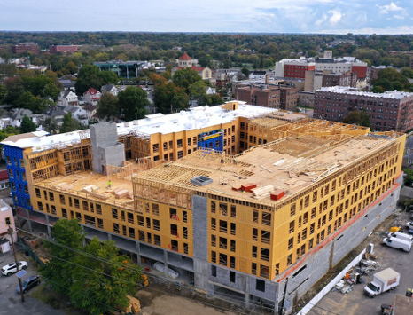 A basketball hoop is in the middle of a yard with a christmas tree in the foreground.