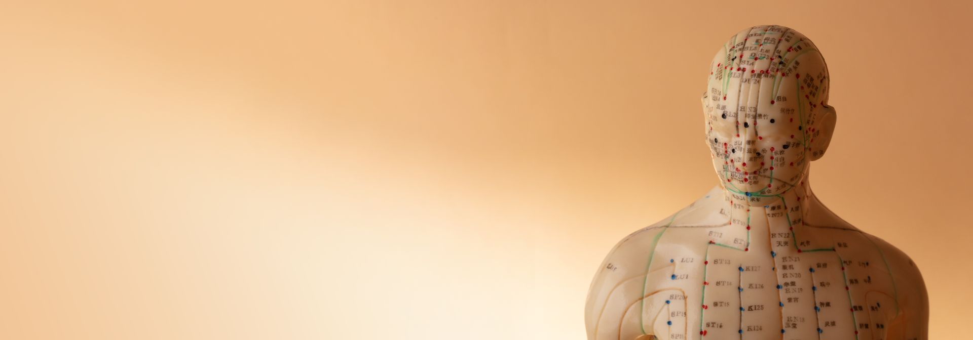 TCM Figur Meridiane Akupunkturpunkte
