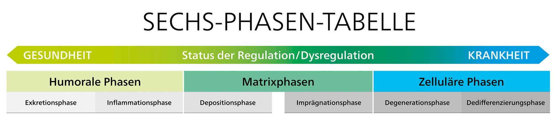 6-Phasen Übersicht Tabelle