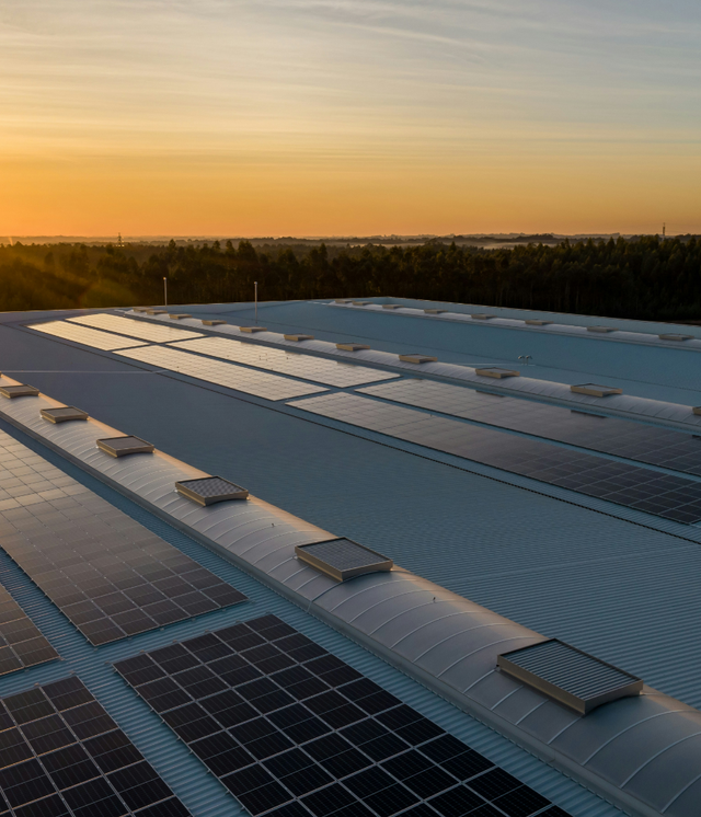 Image of Lorem Ipsum