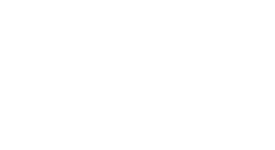New Triangle District Logo