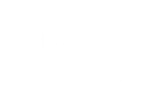 New Triangle District Logo