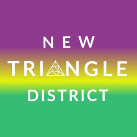 New Triangle District Logo