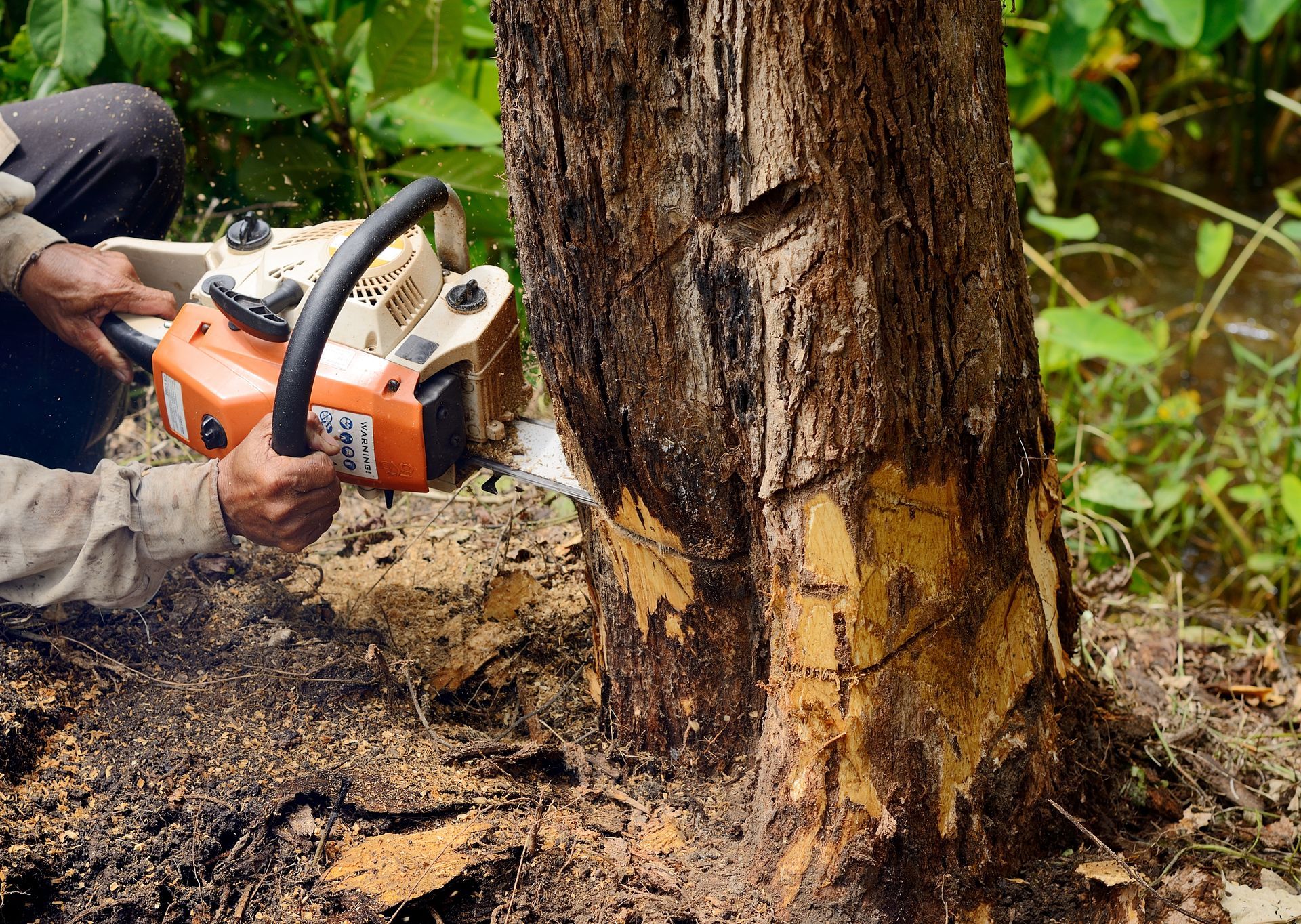 Tree removal crew cutting a large fallen log in a suburban yard, with a truck parked nearby