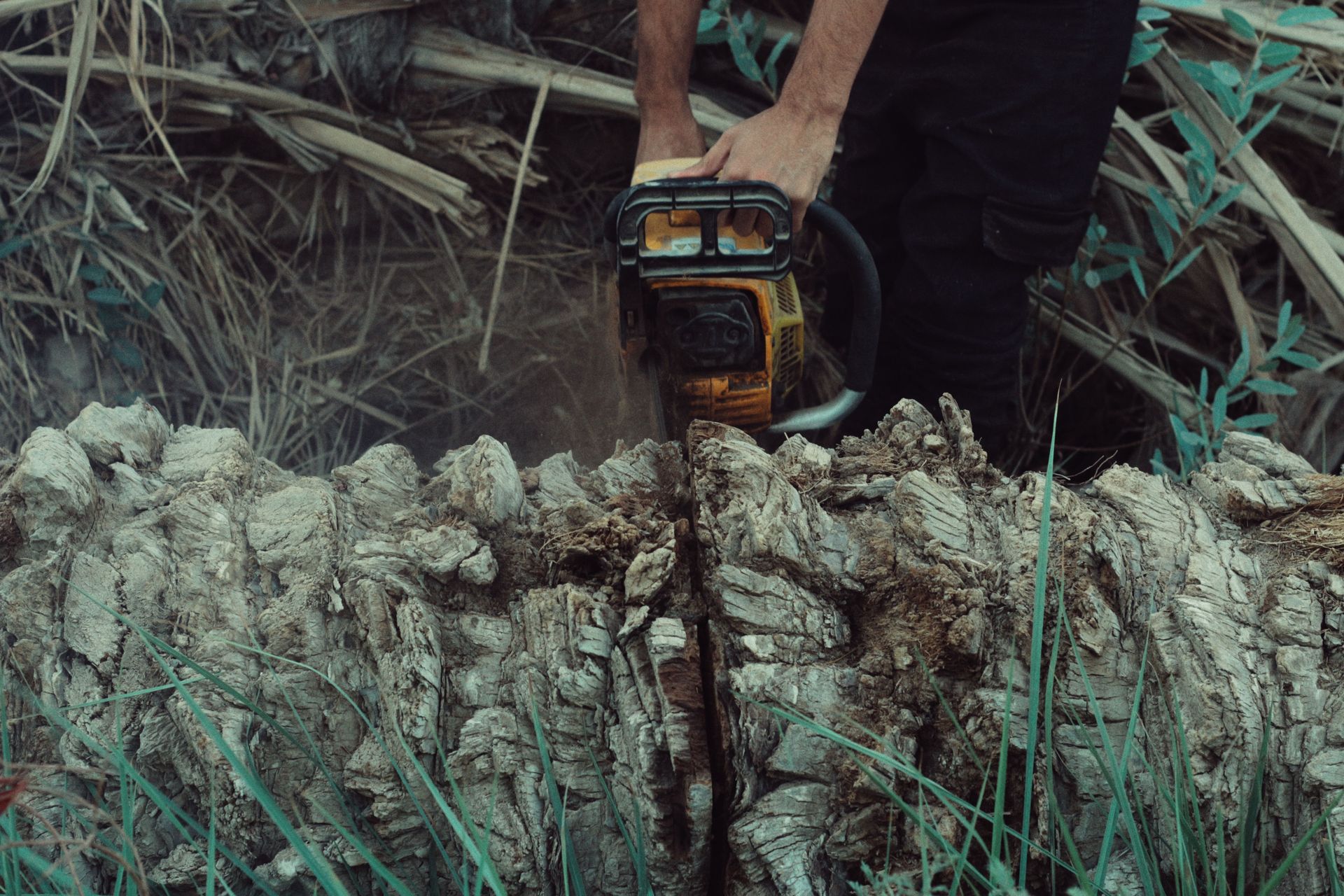Two people with a wood chipper and logs in a yard beside a green pickup truck and a large stump.