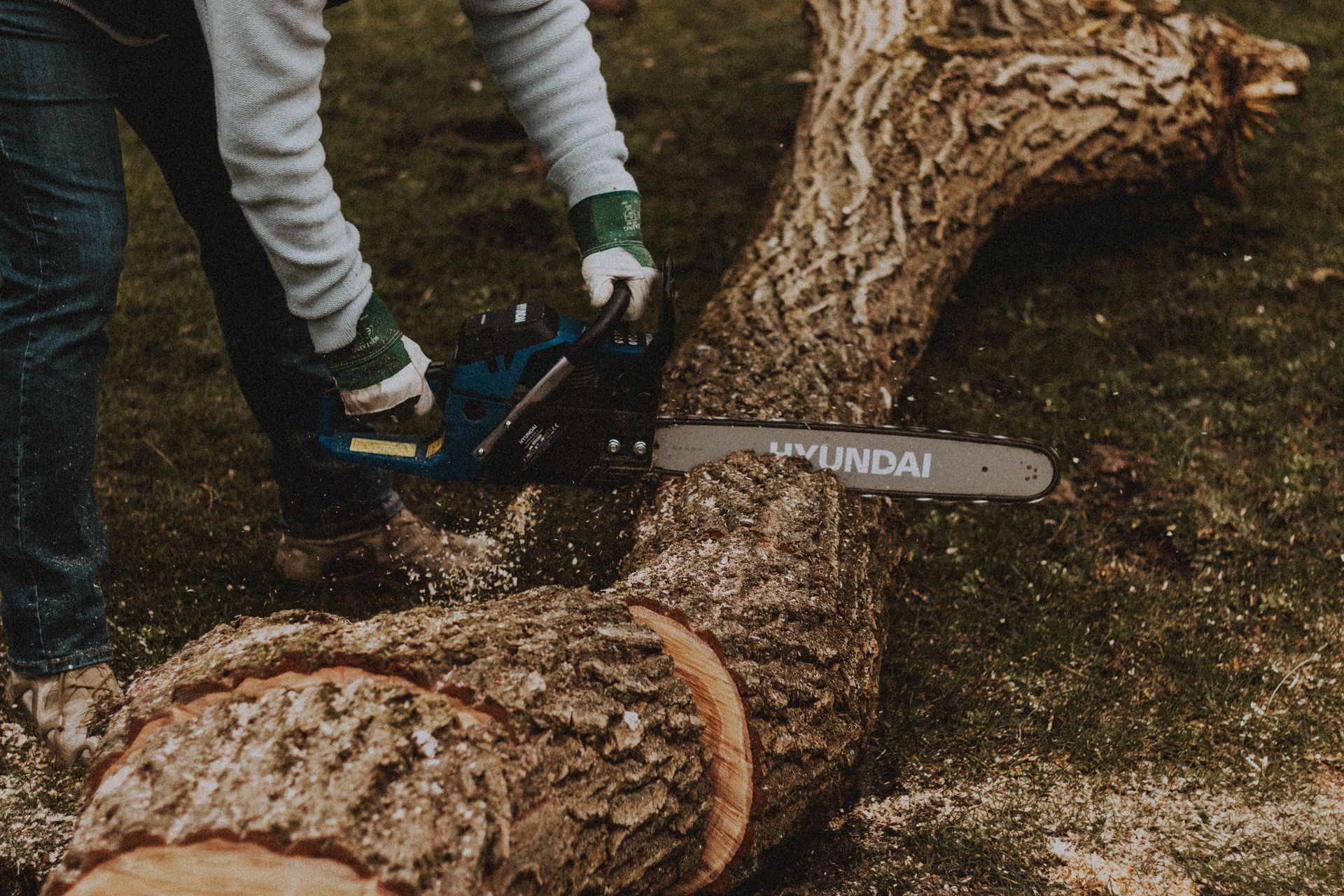Tree service workers and logs in a suburban front yard with a work van and chainsaws