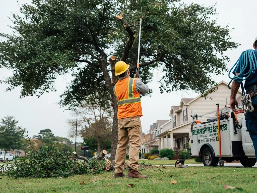 Worker in orange vest trims a large tree beside houses using a bucket truck.