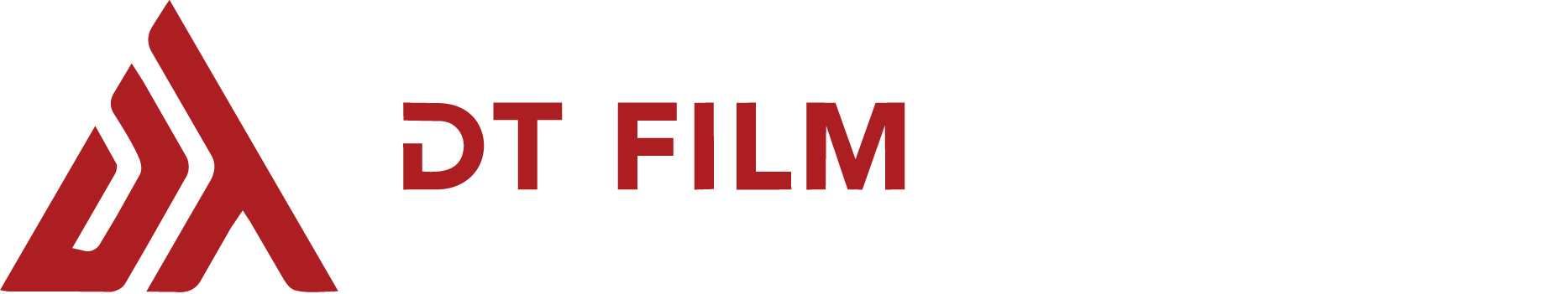 DT Film Services Logo
