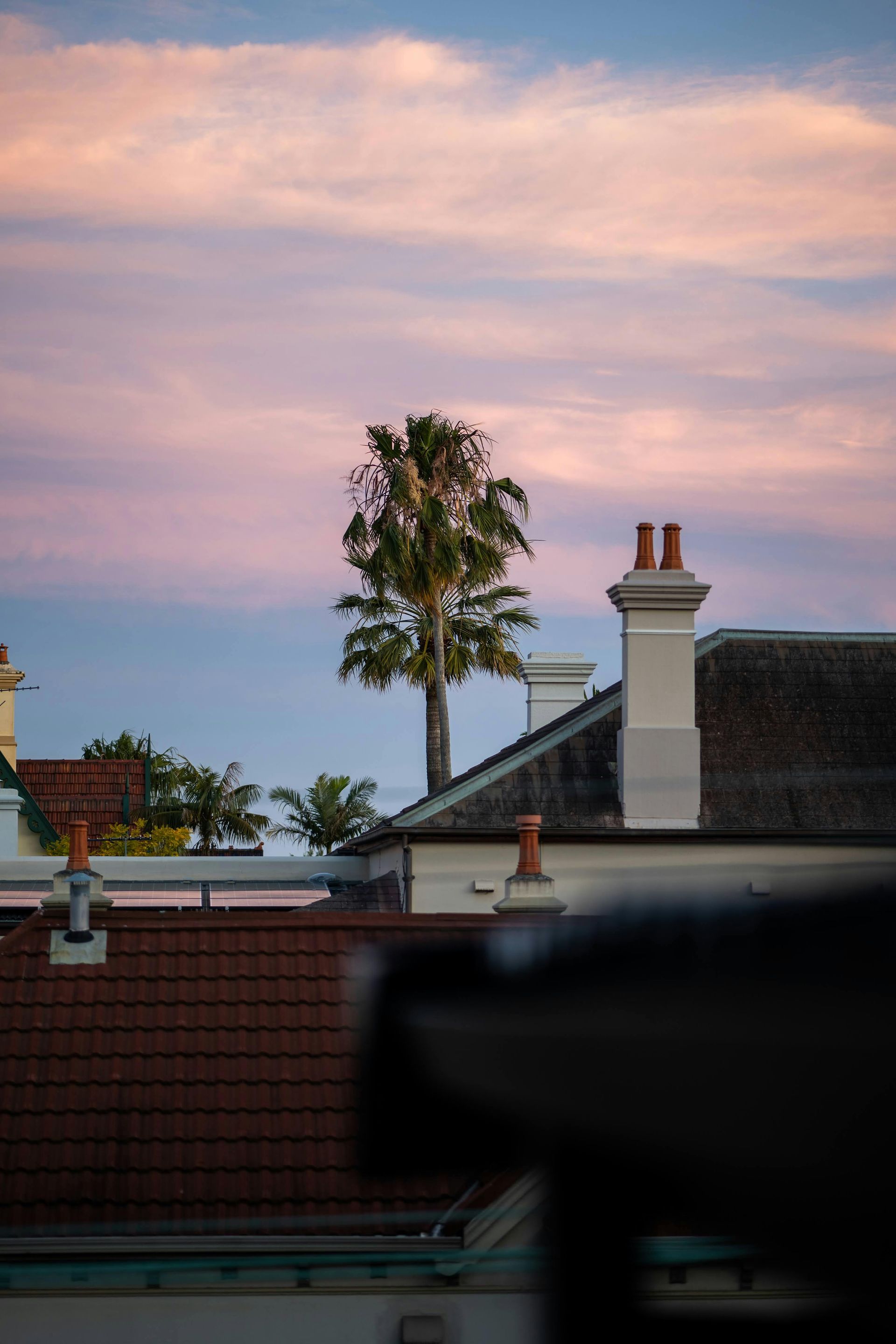 Rooftops with chimneys and a tall tree against a pastel pink and blue sky.