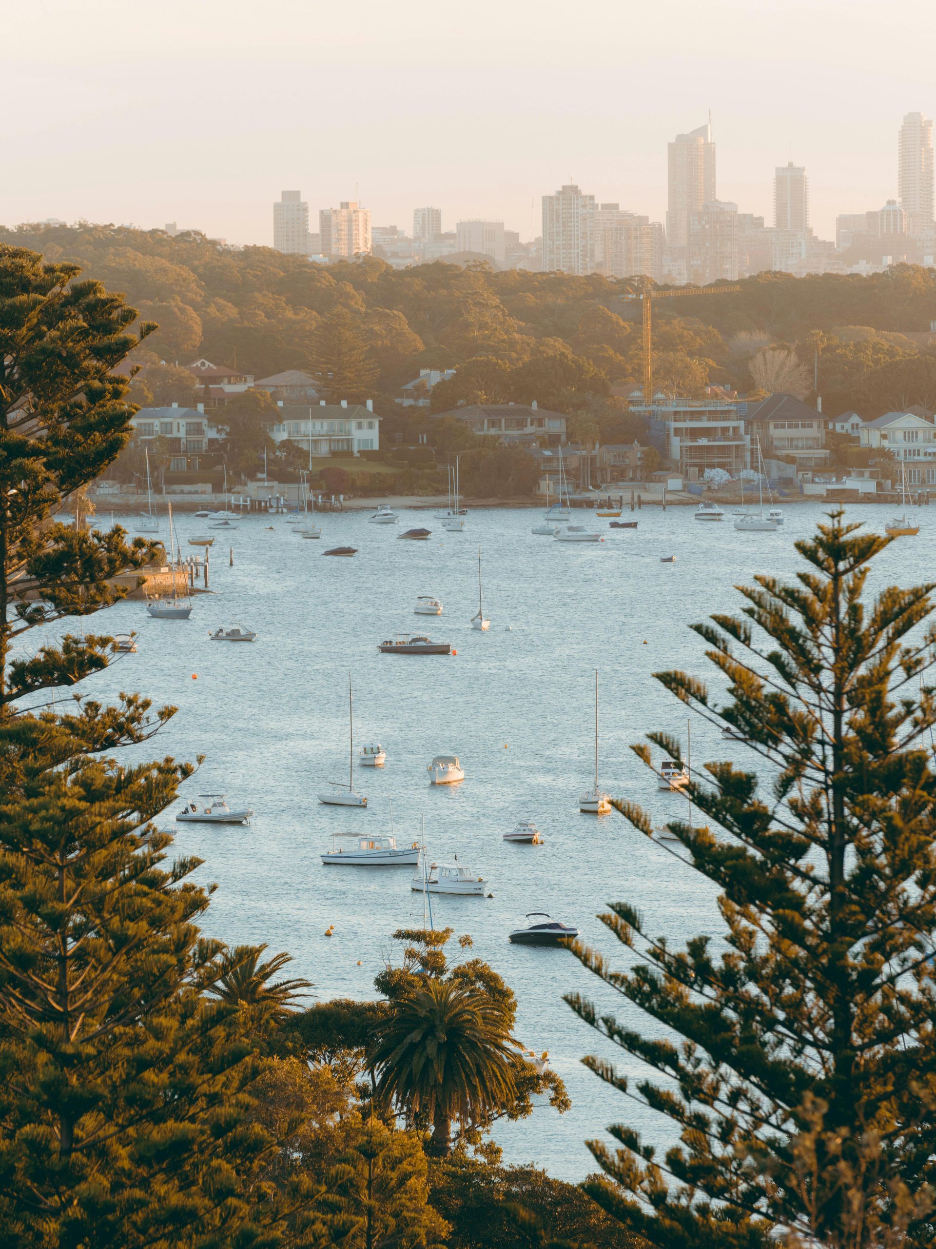 Bay with boats, trees in foreground, distant city skyline. Golden light creates a warm atmosphere.