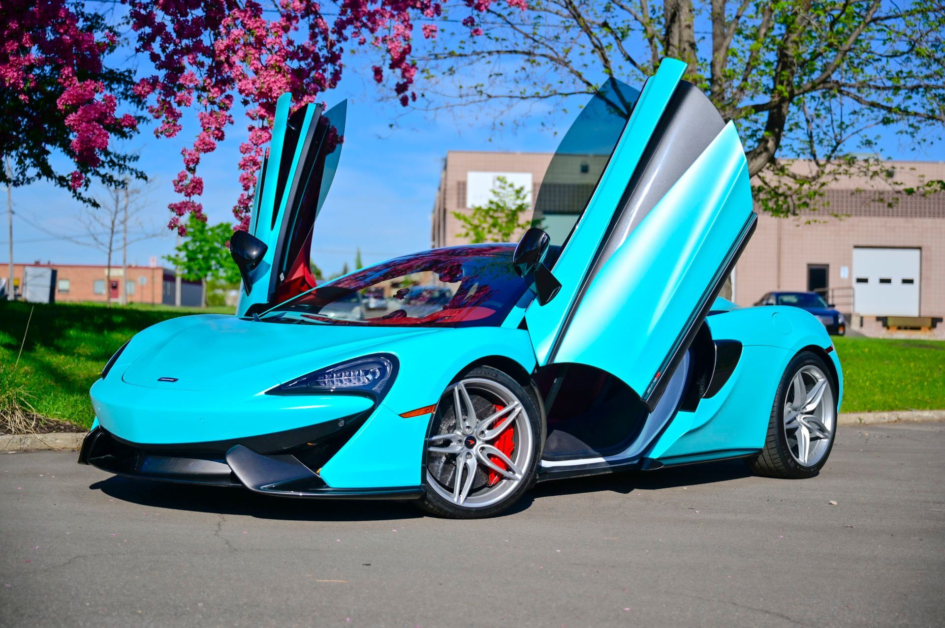 Vinyl Printing 4 Less signs, banners, decals, t-shirts and vehicle wraps