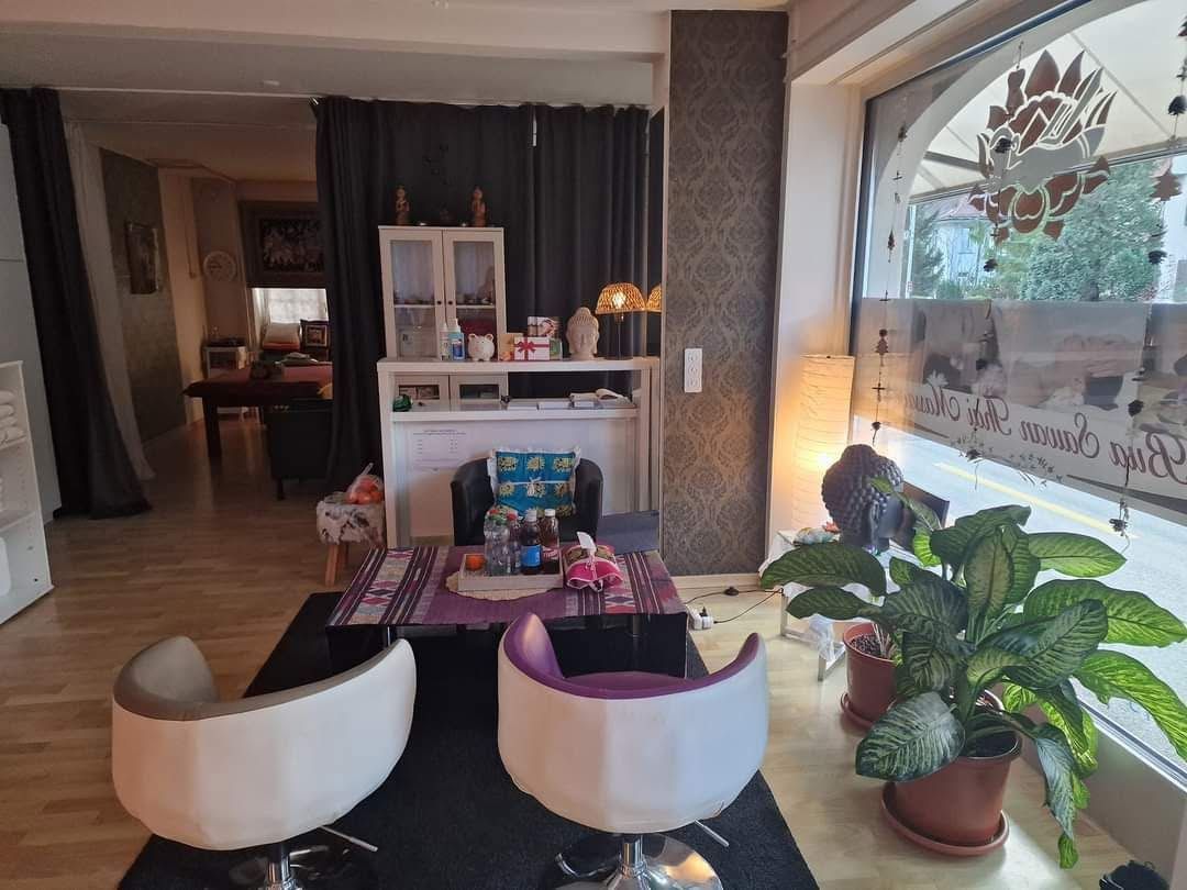 Ein Wohnzimmer mit Tisch, Stühlen, Pflanzen und einem Fenster.