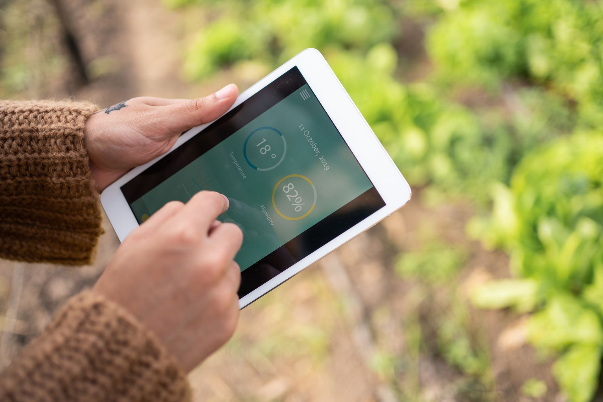 A person is using a tablet in a garden.