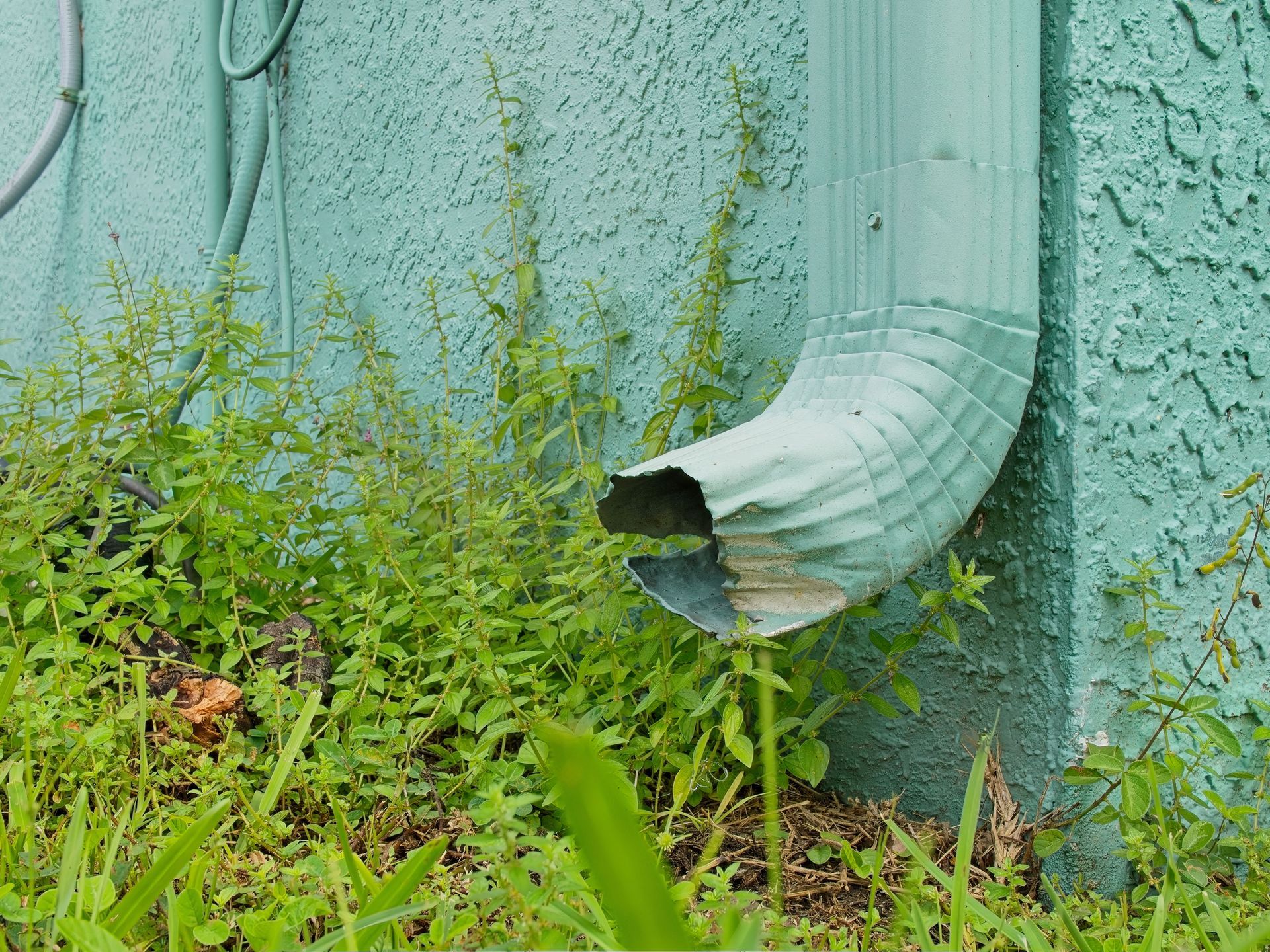 A green gutter is sitting on the side of a blue wall.