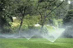 A lawn sprinkler is spraying water on a lush green lawn. Irrigation system repair.